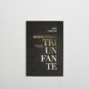 Misericórdia Triunfante - Dale Anderson - Image 3